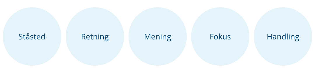 5 grundsøjler - ståsted – retning – mening – fokus – handling